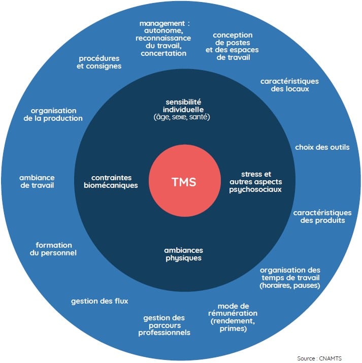 facteurs tms
