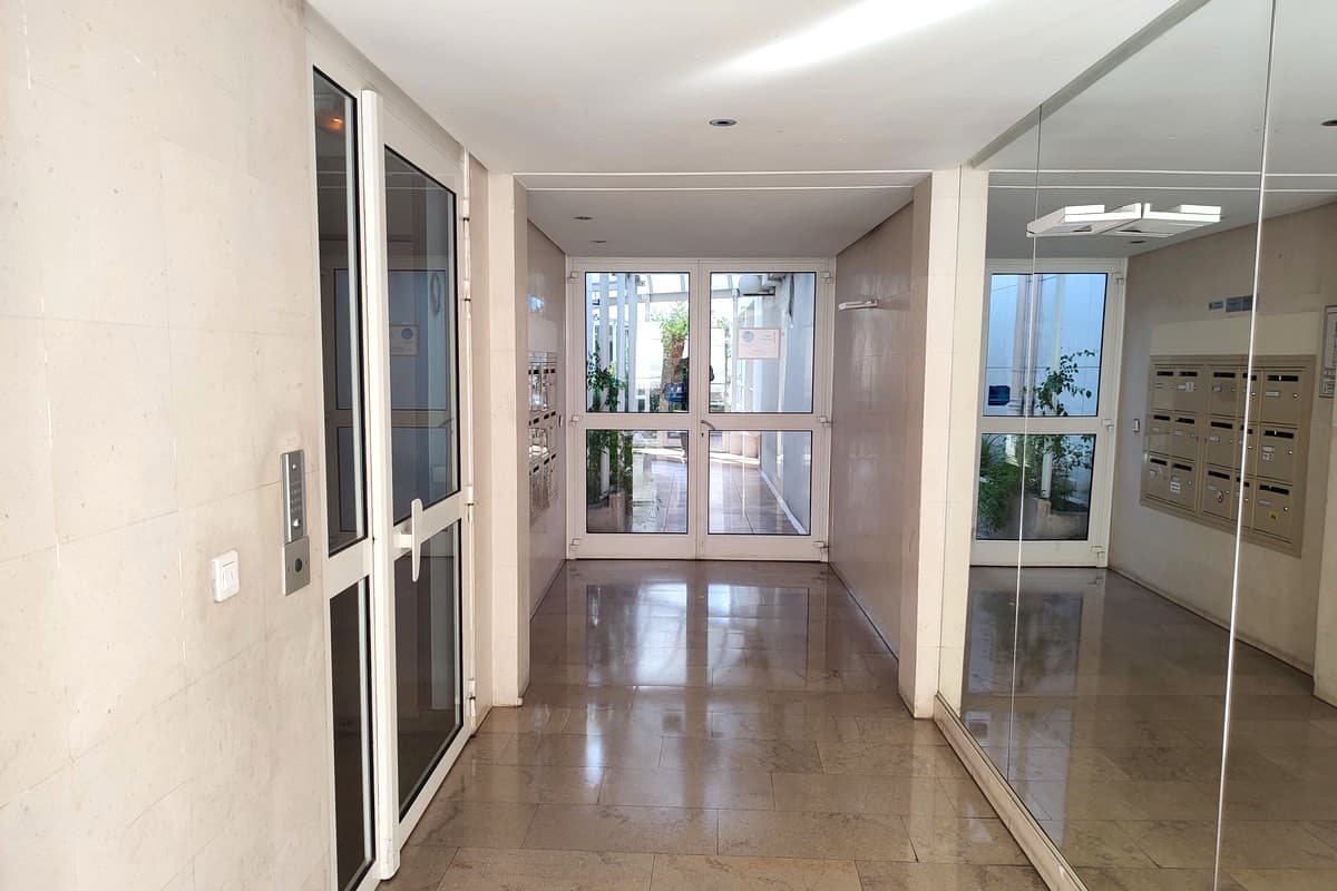 Levallois 5
