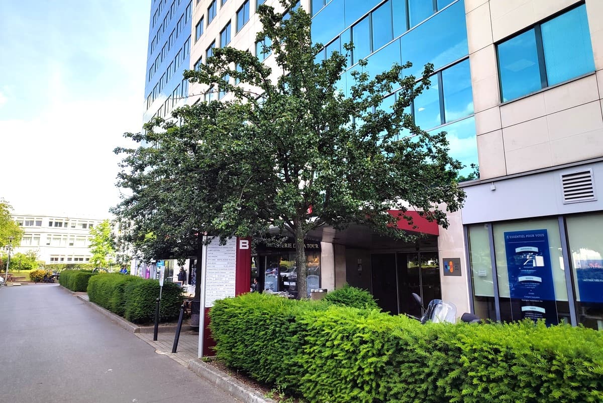 Asnieres 1